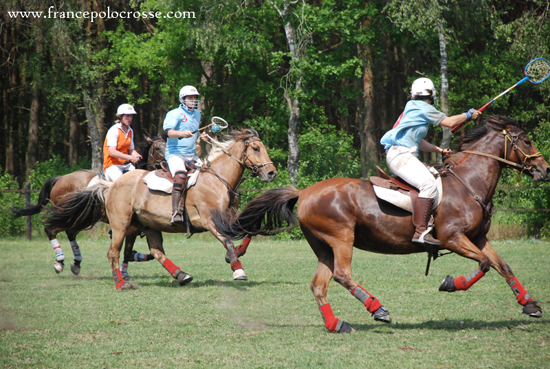 polocrosse