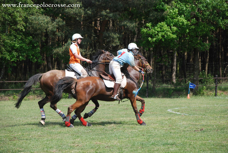 polocrosse