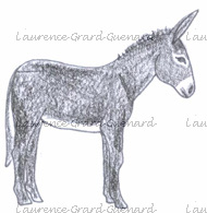 pyren&eacute;es
