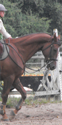 largo