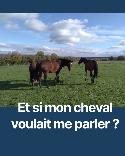 communication animale