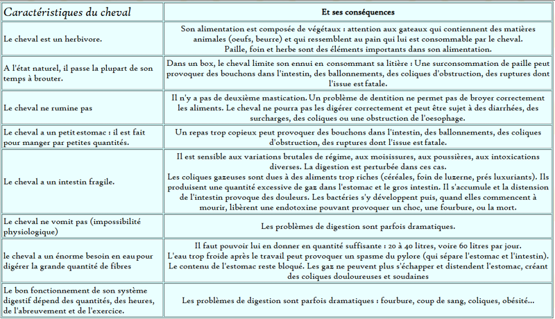 caractéristiques cheval
