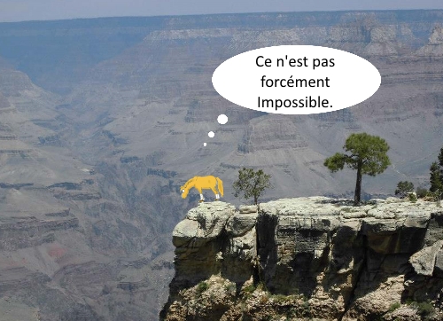 Dr Rosa Perez - Minipoon