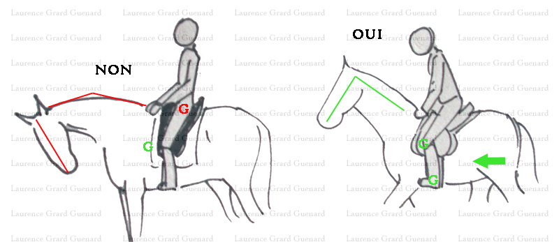 position et équilibre