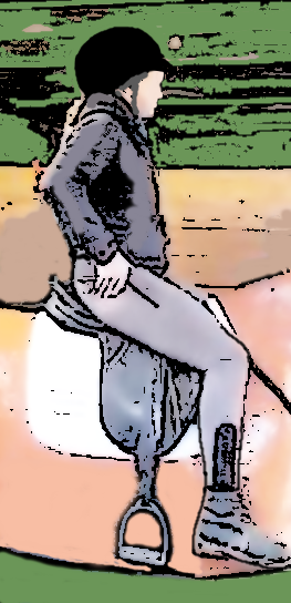 arthrose hanche cavalier