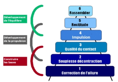 Echelle de Progression