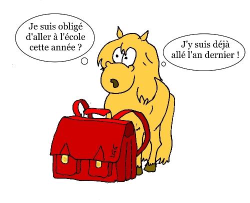 Dr Rosa Perez - Minipoon