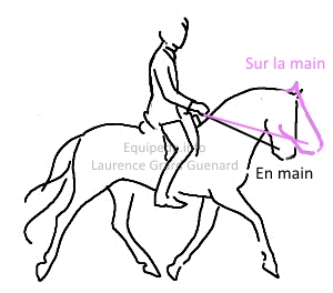 cheval en main