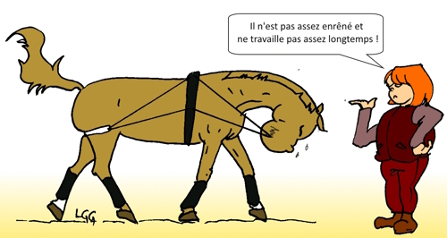 continuum de la violence équitation