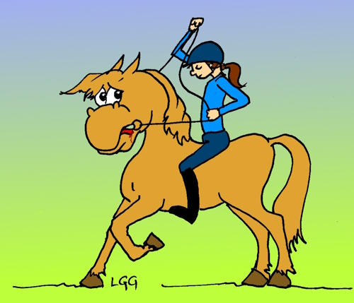 continuum de la violence équitation