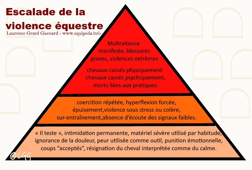 Escalade violence animale équitation