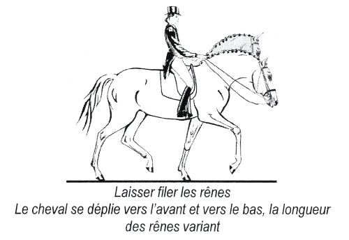 Echelle de Progression