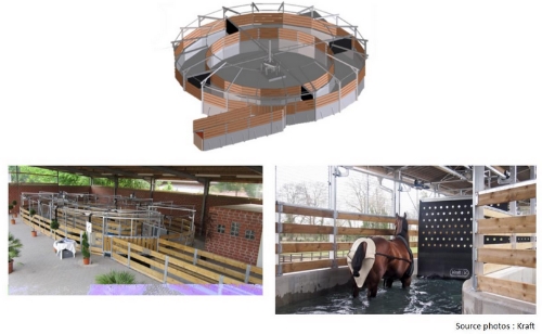 marcheur pour chevaux