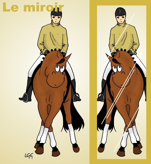 miroir equitation cheval