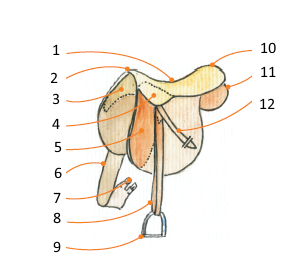questionnaire galop 1