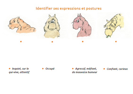 questionnaire galop 1