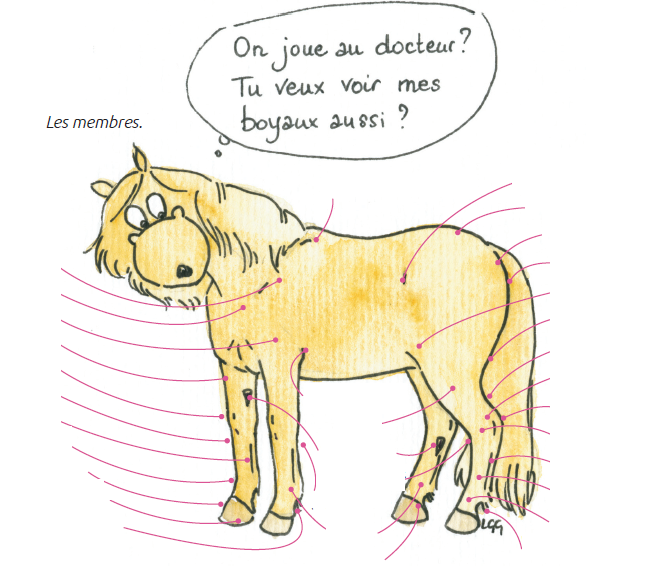 questionnaire galop 3