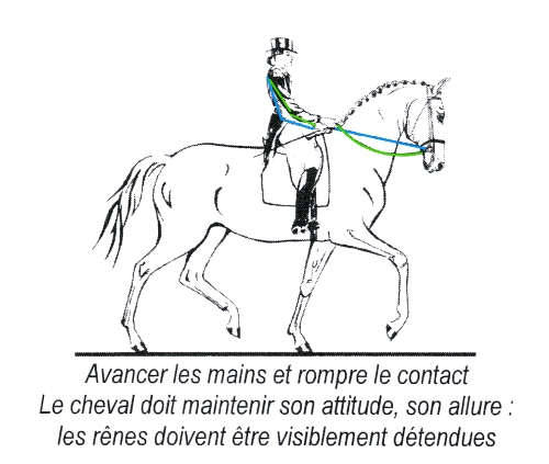 Echelle de Progression